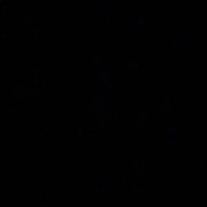 Meet your Posher, Lily